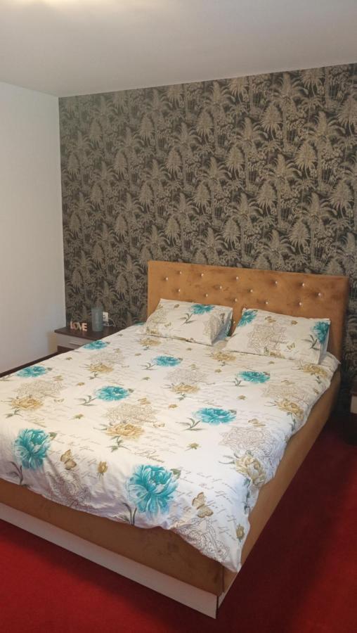 Karina House Appartement Braşov Buitenkant foto